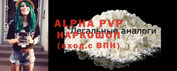 стафф Алексин