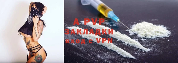 стафф Алексин