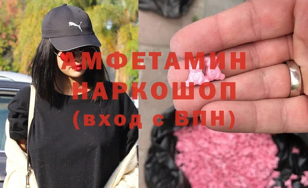 прущие грибы Няндома