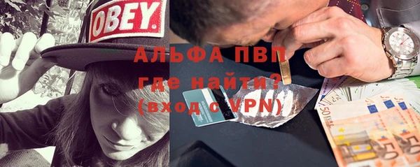 стафф Алексин