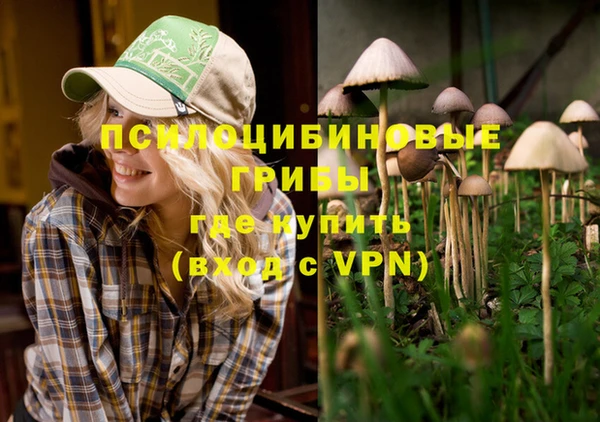 стафф Алексин