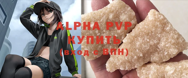 стафф Алексин