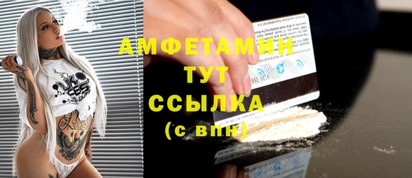 стафф Алексин