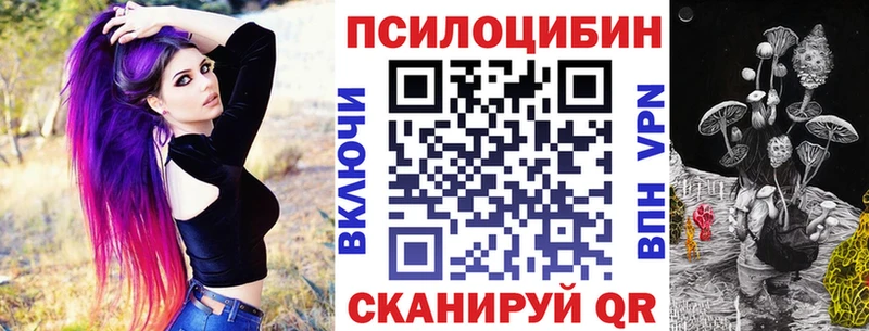 где купить наркоту  Боровичи  Псилоцибиновые грибы Psilocybe 